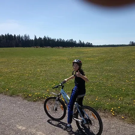 Ubytování v soukromí Apartmán  Bär  Horní Ves U Mariánských Lázní Unesco Mariánské Lázně