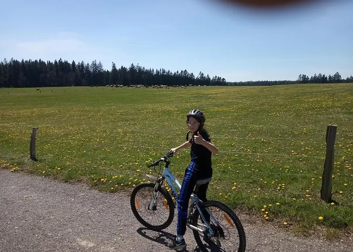 Ubytování v soukromí Apartmán  Bär  Horní Ves U Mariánských Lázní Unesco Mariánské Lázně