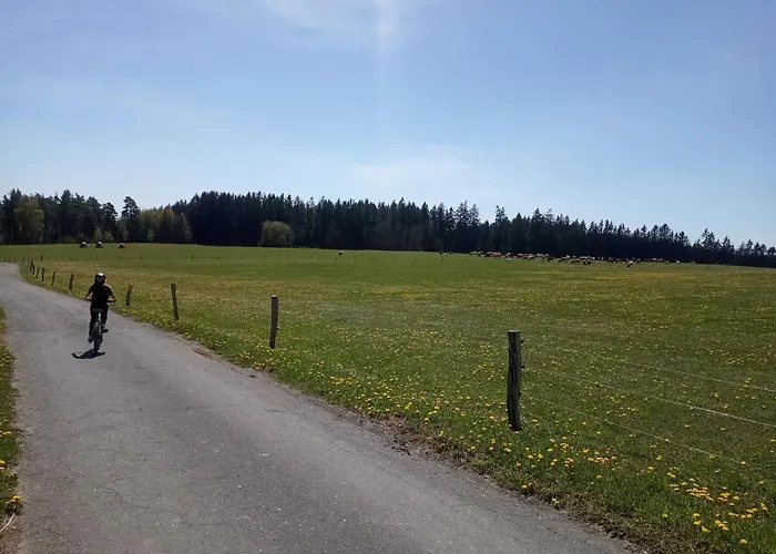 Apartmán  Bär  Horní Ves U Mariánských Lázní Unesco * Mariánské Lázně